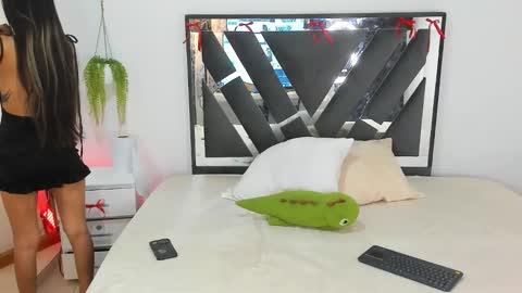 palechor online show from February 15, 2026, 4:03 pm