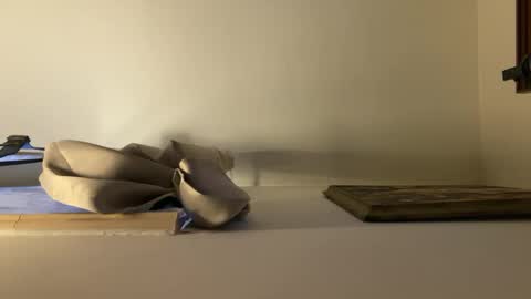 Snapshot of palerider269 chatting on February 13, 2025, 1:48 pm palerider269 online show from February 13, 2025, 1:48 pm