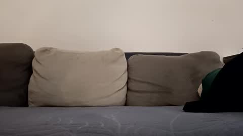 Snapshot of pamid215 chatting on October 12, 2025, 3:33 pm angel hris online show from October 12, 2025, 3:33 pm