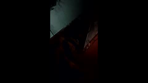 Snapshot of pamid215 chatting on November 9, 2025, 11:47 pm angel hris online show from November 9, 2025, 11:47 pm