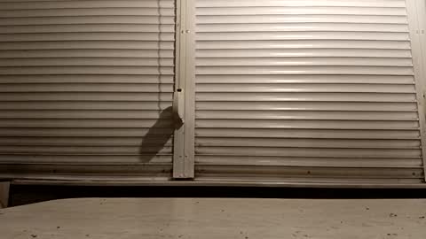 angel hris online show from February 6, 2026, 4:54 pm