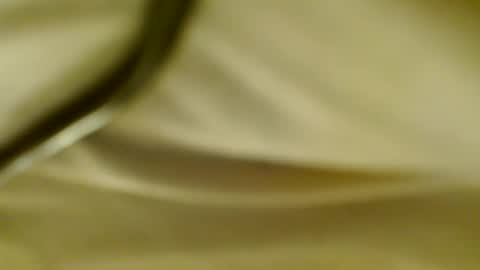 PantyJim19 online show from February 20, 2025, 9:55 am