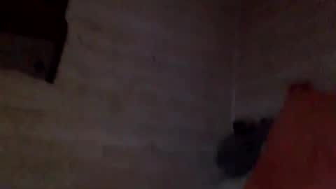 Snapshot of patibulaire1912 chatting on February 26, 2026, 10:25 am Pati24 online show from February 26, 2026, 10:25 am