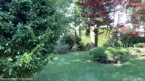 Andreea online show from June 20, 2026, 5:32 am