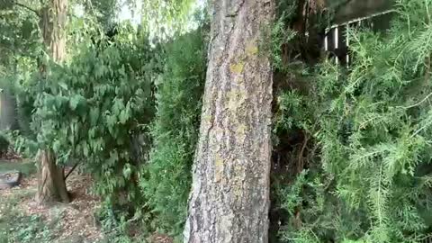Andreea online show from June 30, 2026, 3:46 pm