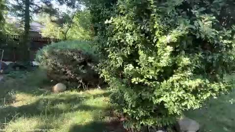 Andreea online show from July 7, 2026, 5:43 am