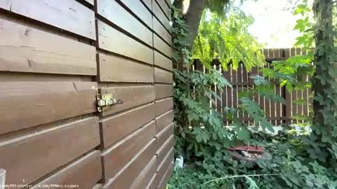 Andreea online show from July 14, 2026, 7:24 am