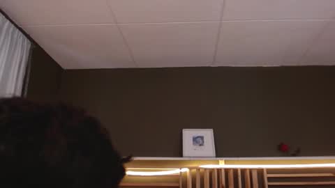 Paul online show from November 13, 2025, 1:54 pm