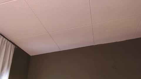 Paul online show from December 5, 2025, 1:31 pm