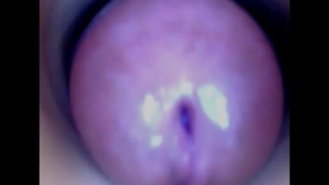Snapshot of paulainoscente chatting on January 15, 2025, 2:49 am Paula 18 Aninhos online show from January 15, 2025, 2:49 am