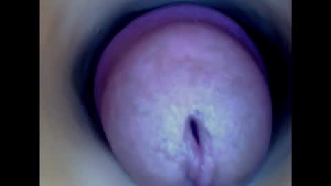 Snapshot of paulainoscente chatting on January 15, 2025, 6:51 pm Paula 18 Aninhos online show from January 15, 2025, 6:51 pm