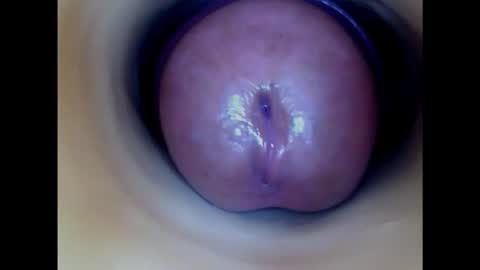 Snapshot of paulainoscente chatting on January 16, 2025, 1:37 am Paula 18 Aninhos online show from January 16, 2025, 1:37 am