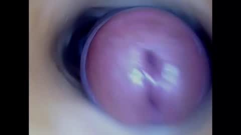 Snapshot of paulainoscente chatting on January 17, 2025, 3:53 pm Paula 18 Aninhos online show from January 17, 2025, 3:53 pm