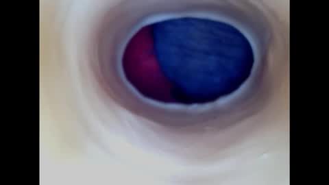 Snapshot of paulainoscente chatting on January 18, 2025, 5:04 pm Paula 18 Aninhos online show from January 18, 2025, 5:04 pm