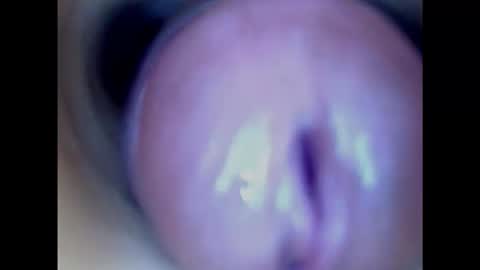 Snapshot of paulainoscente chatting on January 22, 2025, 3:31 am Paula 18 Aninhos online show from January 22, 2025, 3:31 am
