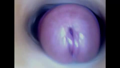 Snapshot of paulainoscente chatting on January 23, 2025, 1:51 am Paula 18 Aninhos online show from January 23, 2025, 1:51 am