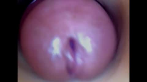 Snapshot of paulainoscente chatting on January 23, 2025, 1:45 pm Paula 18 Aninhos online show from January 23, 2025, 1:45 pm