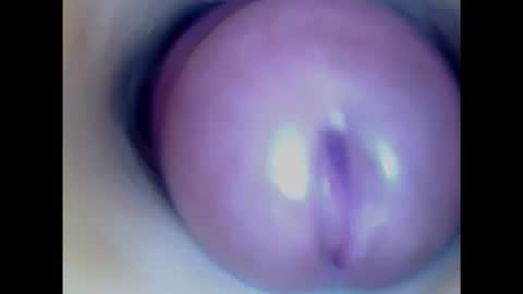 Snapshot of paulainoscente chatting on January 23, 2025, 8:35 pm Paula 18 Aninhos online show from January 23, 2025, 8:35 pm