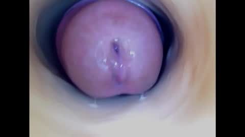Snapshot of paulainoscente chatting on January 24, 2025, 1:03 am Paula 18 Aninhos online show from January 24, 2025, 1:03 am