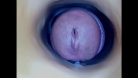 Snapshot of paulainoscente chatting on January 28, 2025, 11:50 pm Paula 18 Aninhos online show from January 28, 2025, 11:50 pm