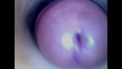 Snapshot of paulainoscente chatting on January 29, 2025, 2:51 am Paula 18 Aninhos online show from January 29, 2025, 2:51 am