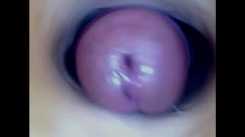 Snapshot of paulainoscente chatting on January 31, 2025, 1:43 am Paula 18 Aninhos online show from January 31, 2025, 1:43 am