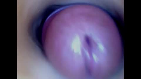 Snapshot of paulainoscente chatting on February 1, 2025, 2:34 pm Paula 18 Aninhos online show from February 1, 2025, 2:34 pm
