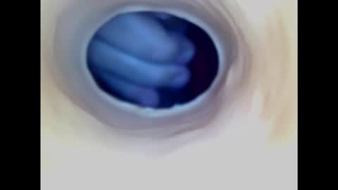 Snapshot of paulainoscente chatting on February 1, 2025, 7:44 pm Paula 18 Aninhos online show from February 1, 2025, 7:44 pm
