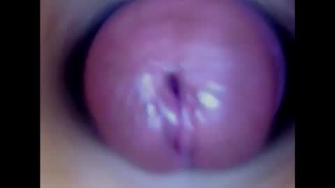 Snapshot of paulainoscente chatting on February 2, 2025, 3:54 am Paula 18 Aninhos online show from February 2, 2025, 3:54 am