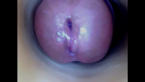Snapshot of paulainoscente chatting on February 3, 2025, 6:34 am Paula 18 Aninhos online show from February 3, 2025, 6:34 am