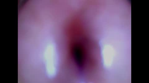 Snapshot of paulainoscente chatting on February 3, 2025, 6:07 pm Paula 18 Aninhos online show from February 3, 2025, 6:07 pm