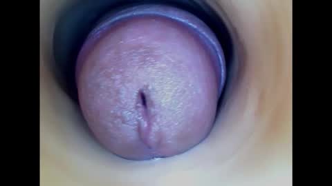 Snapshot of paulainoscente chatting on February 3, 2025, 9:07 pm Paula 18 Aninhos online show from February 3, 2025, 9:07 pm