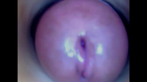 Snapshot of paulainoscente chatting on February 4, 2025, 5:10 am Paula 18 Aninhos online show from February 4, 2025, 5:10 am