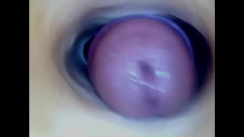Snapshot of paulainoscente chatting on February 6, 2025, 4:03 pm Paula 18 Aninhos online show from February 6, 2025, 4:03 pm