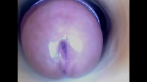 Snapshot of paulainoscente chatting on February 8, 2025, 6:22 am Paula 18 Aninhos online show from February 8, 2025, 6:22 am