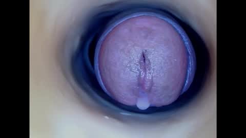Snapshot of paulainoscente chatting on February 8, 2025, 5:50 pm Paula 18 Aninhos online show from February 8, 2025, 5:50 pm
