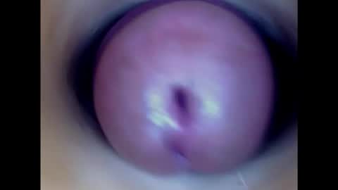 Snapshot of paulainoscente chatting on February 11, 2025, 11:01 pm Paula 18 Aninhos online show from February 11, 2025, 11:01 pm