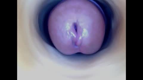 Snapshot of paulainoscente chatting on February 16, 2025, 9:48 pm Paula 18 Aninhos online show from February 16, 2025, 9:48 pm
