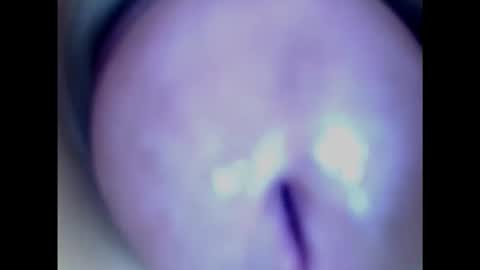 Snapshot of paulainoscente chatting on February 19, 2025, 11:04 pm Paula 18 Aninhos online show from February 19, 2025, 11:04 pm