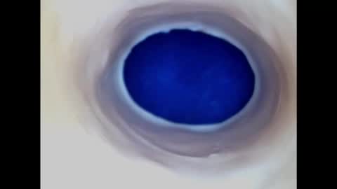 Snapshot of paulainoscente chatting on February 20, 2025, 3:01 am Paula 18 Aninhos online show from February 20, 2025, 3:01 am