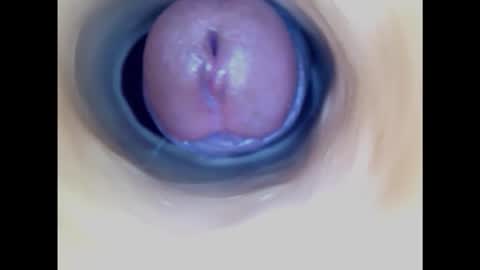 Snapshot of paulainoscente chatting on February 20, 2025, 4:36 pm Paula 18 Aninhos online show from February 20, 2025, 4:36 pm