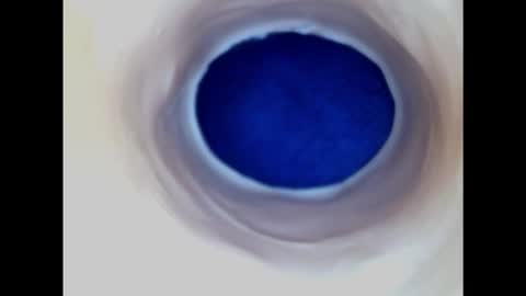Snapshot of paulainoscente chatting on February 22, 2025, 3:23 am Paula 18 Aninhos online show from February 22, 2025, 3:23 am