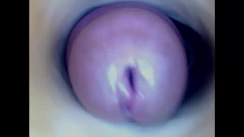 Snapshot of paulainoscente chatting on February 23, 2025, 2:51 am Paula 18 Aninhos online show from February 23, 2025, 2:51 am