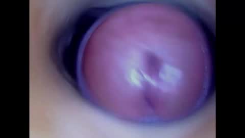 Snapshot of paulainoscente chatting on February 24, 2025, 1:24 am Paula 18 Aninhos online show from February 24, 2025, 1:24 am