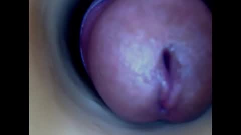 Snapshot of paulainoscente chatting on February 24, 2025, 4:27 am Paula 18 Aninhos online show from February 24, 2025, 4:27 am