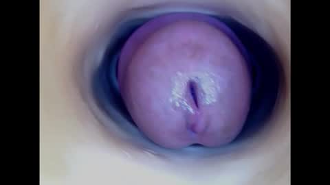 Snapshot of paulainoscente chatting on March 2, 2025, 7:12 pm Paula 18 Aninhos online show from March 2, 2025, 7:12 pm