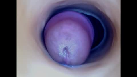 Snapshot of paulainoscente chatting on March 11, 2025, 6:08 pm Paula 18 Aninhos online show from March 11, 2025, 6:08 pm