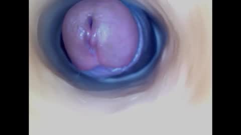 Paula 18 Aninhos online show from October 26, 2025, 9:21 pm