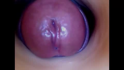 Paula 18 Aninhos online show from November 20, 2025, 7:30 am