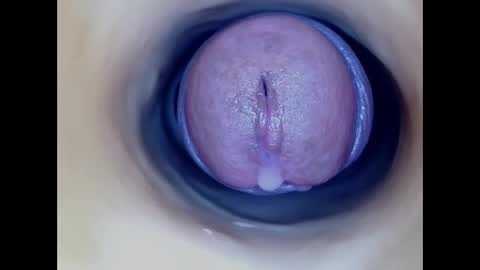 Paula 18 Aninhos online show from January 12, 2026, 7:13 am